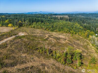 31807 NE 122nd Avenue , Battle Ground, WA 98604 - Photo 34