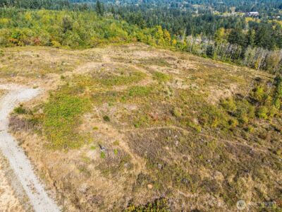 31807 NE 122nd Avenue , Battle Ground, WA 98604 - Photo 10