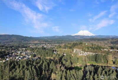 10802 Eatonville Highway E, Eatonville, WA 98328 - Photo 7