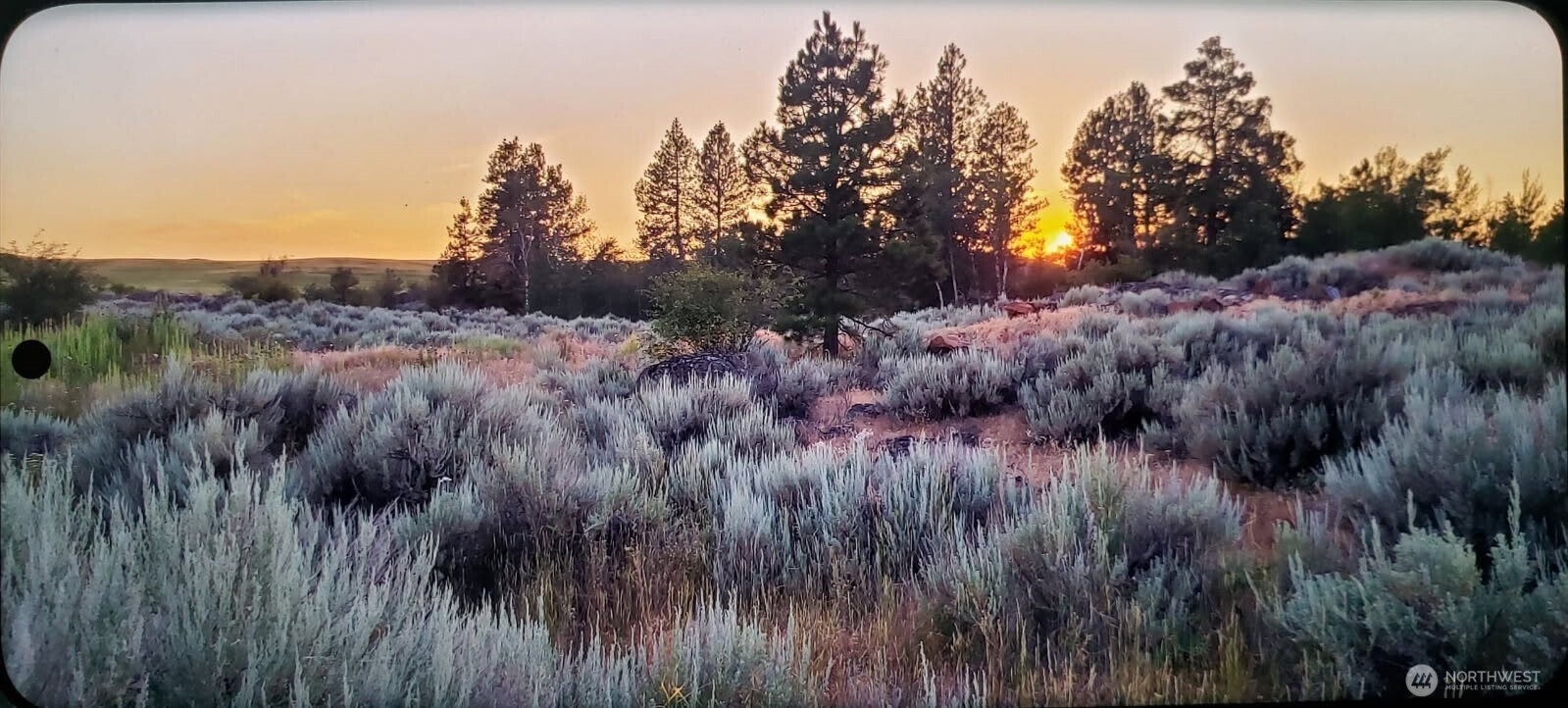 0 S Harrison Road W, Spokane, WA 99226