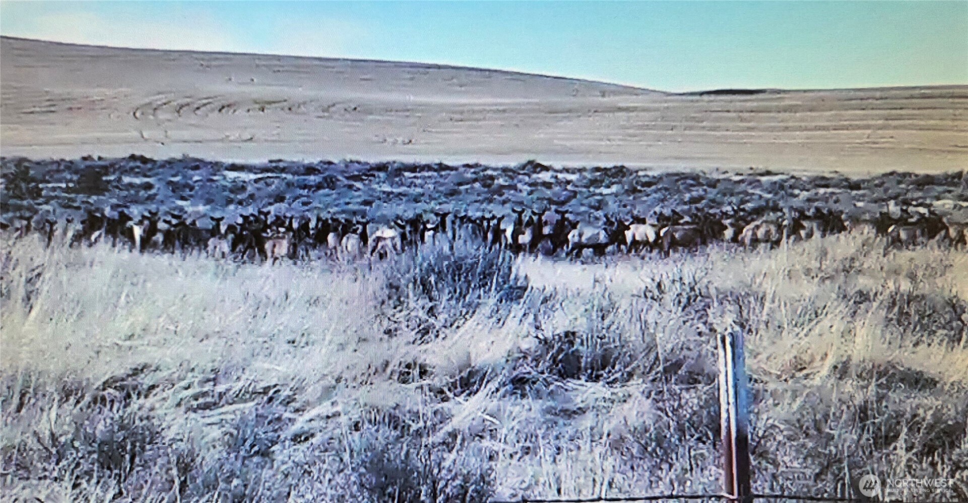 0 S Harrison Road W, Spokane, WA 99226