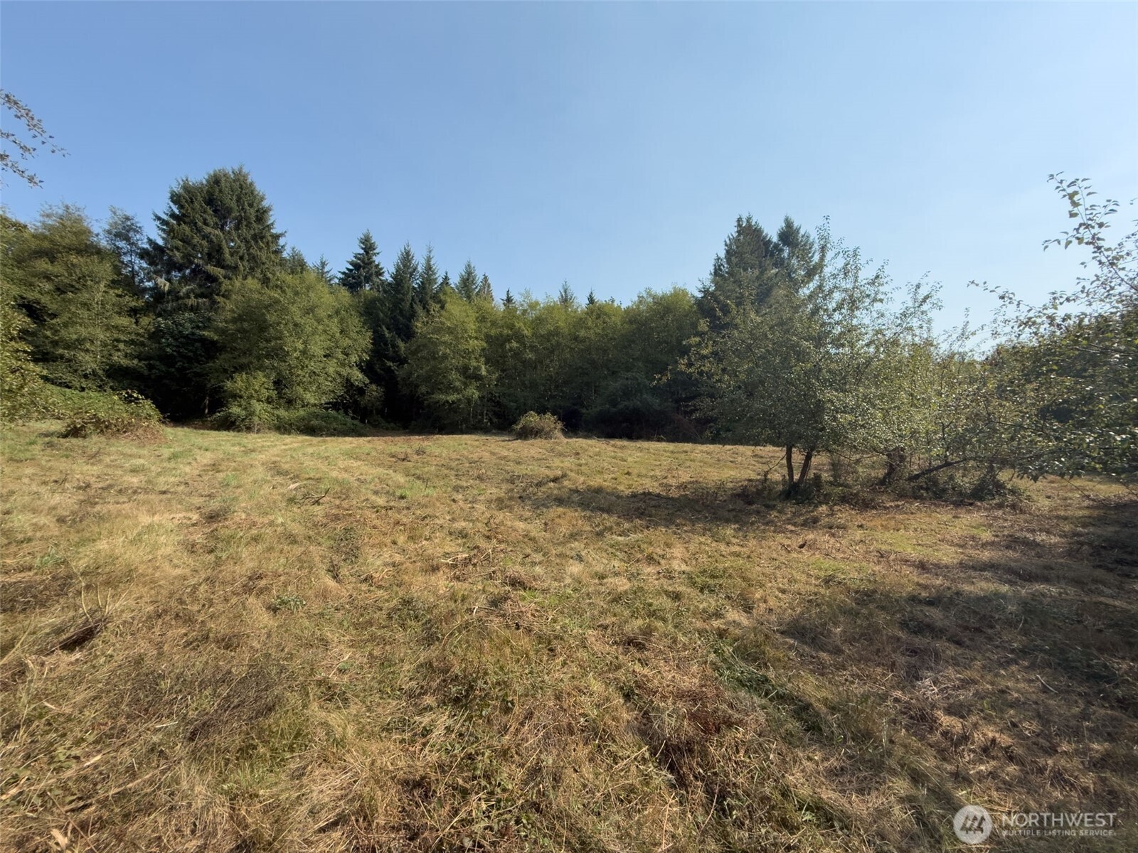 104 Bills Lane , Onalaska, WA 98570