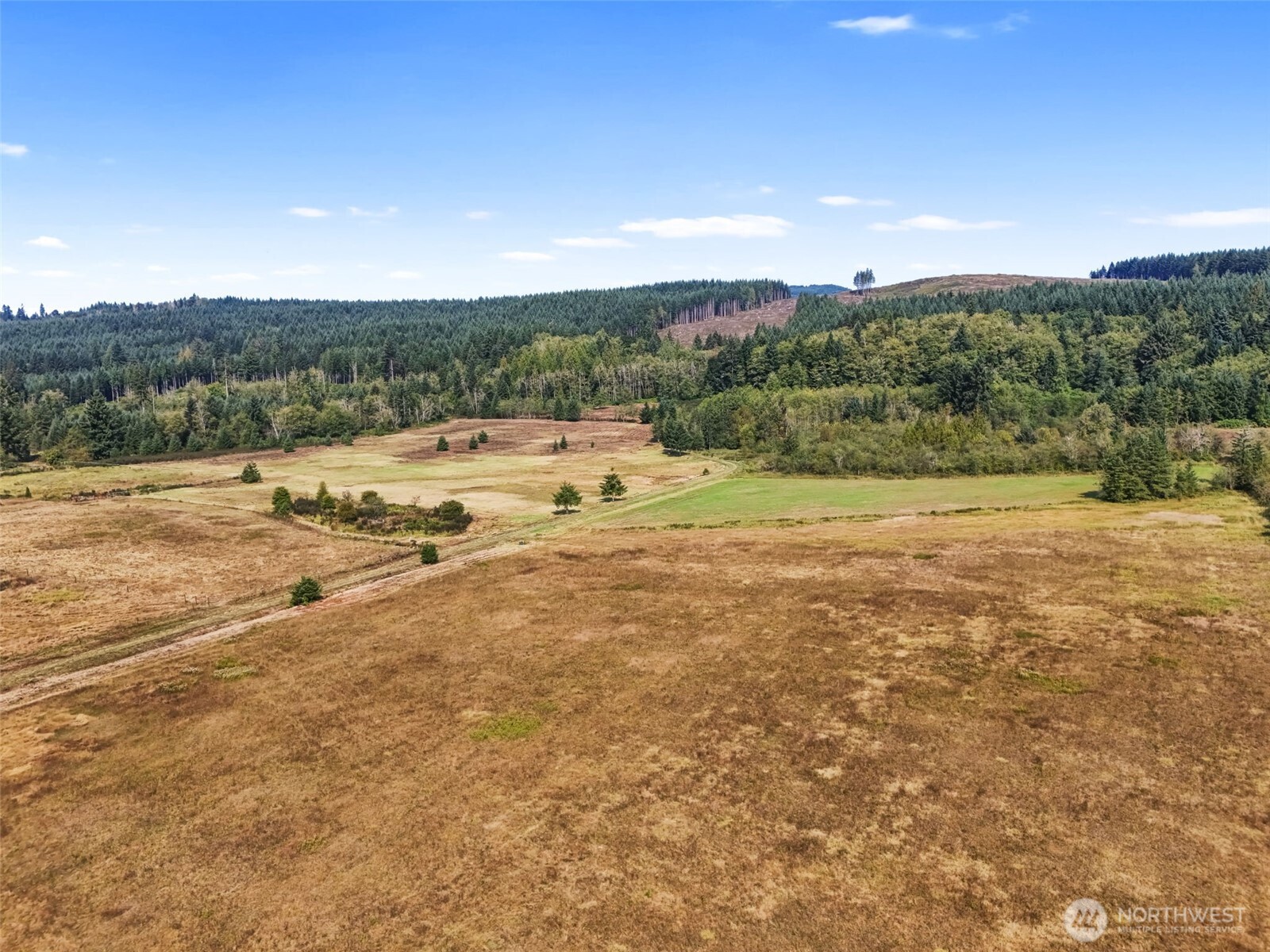 104 Bills Lane , Onalaska, WA 98570