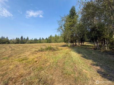 104 Bills Lane , Onalaska, WA 98570 - Photo 24