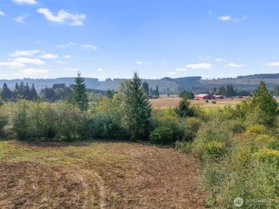 104 Bills Lane , Onalaska, WA 98570 - Photo 26
