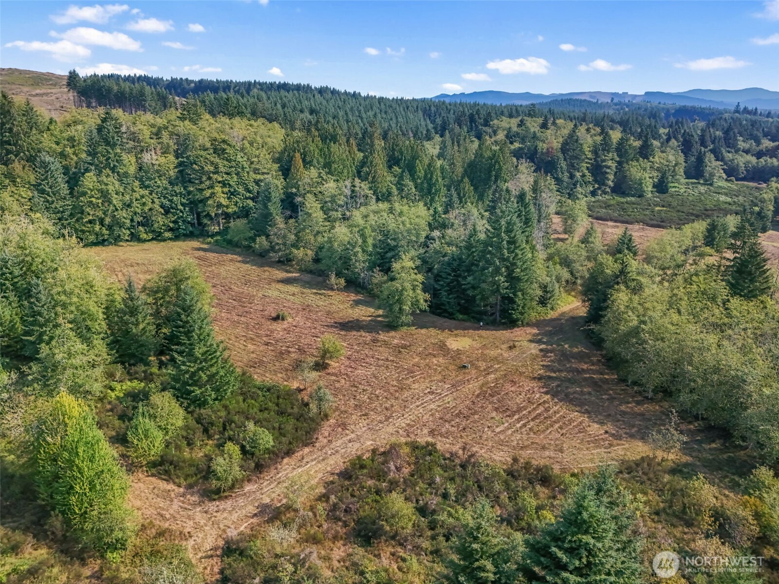 104 Bills Lane , Onalaska, WA 98570