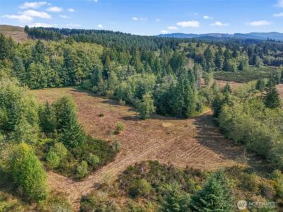 104 Bills Lane , Onalaska, WA 98570 - Photo 27