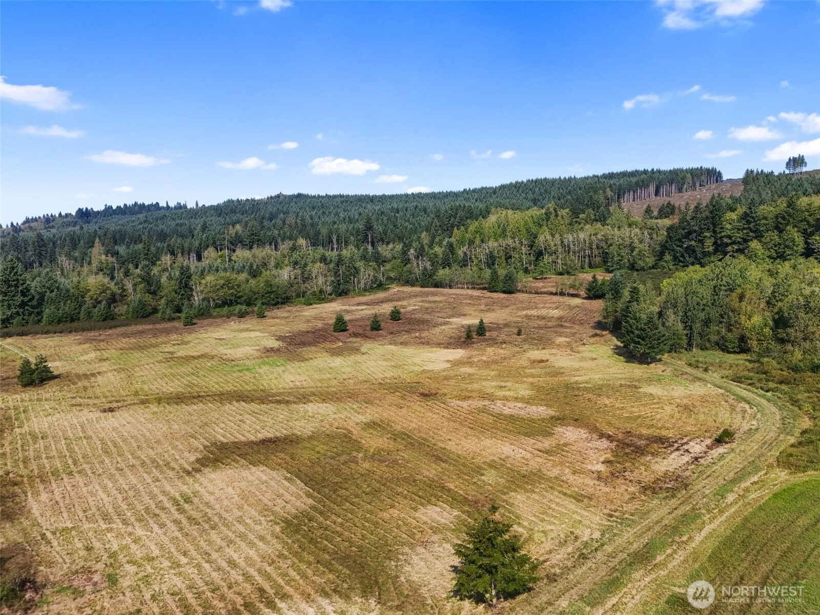 104 Bills Lane , Onalaska, WA 98570
