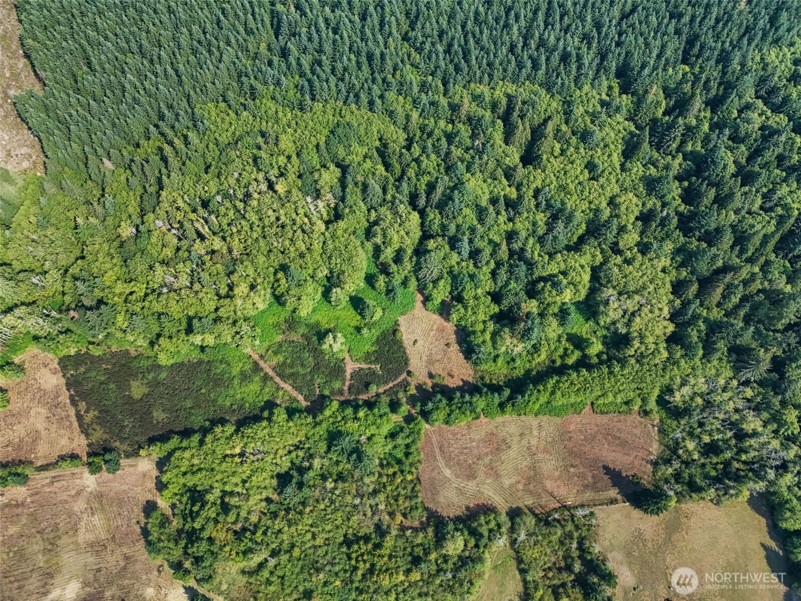 104 Bills Lane , Onalaska, WA 98570
