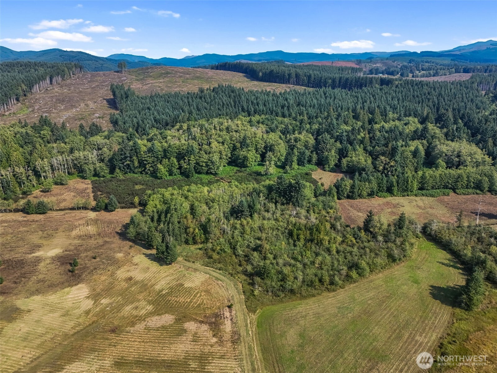 104 Bills Lane , Onalaska, WA 98570