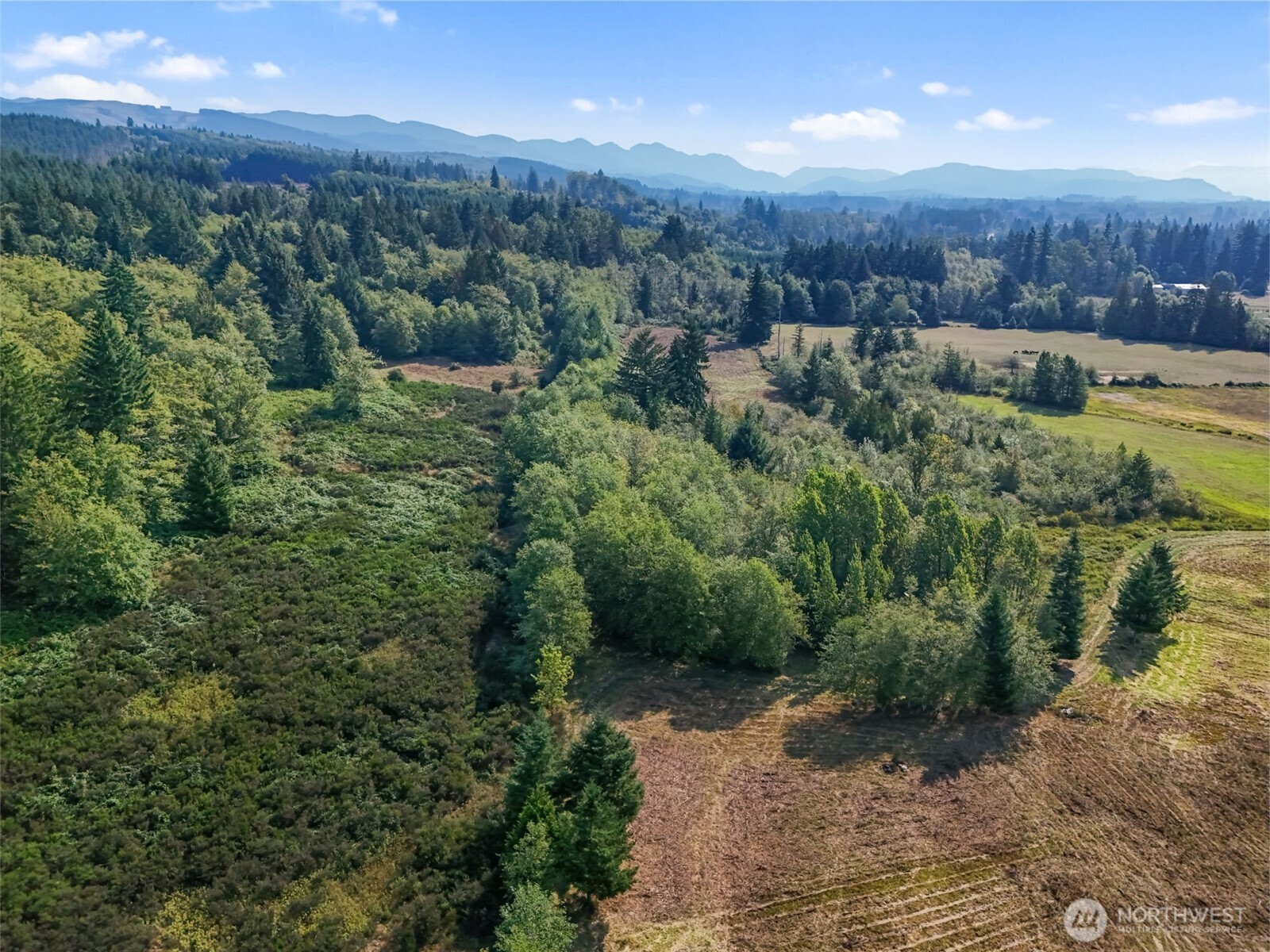 104 Bills Lane , Onalaska, WA 98570