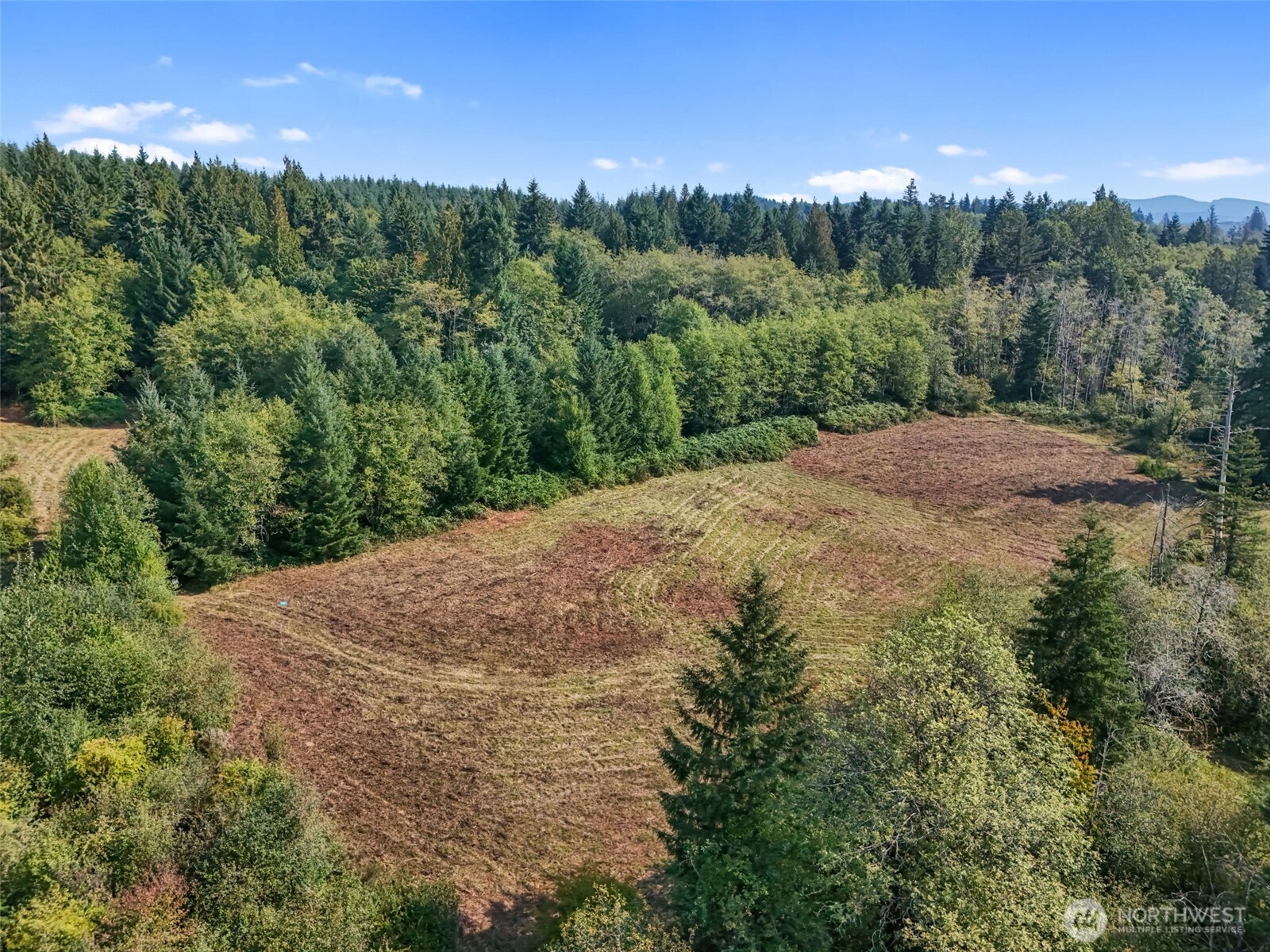 104 Bills Lane , Onalaska, WA 98570