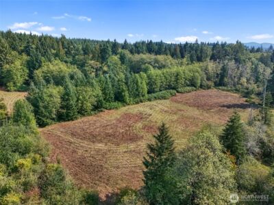 104 Bills Lane , Onalaska, WA 98570 - Photo 10