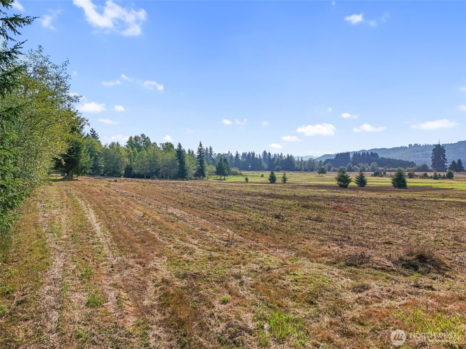 104 Bills Lane , Onalaska, WA 98570