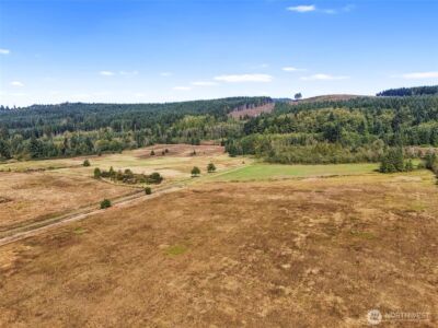 104 Bills Lane , Onalaska, WA 98570 - Photo 22