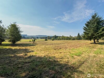 104 Bills Lane , Onalaska, WA 98570 - Photo 23