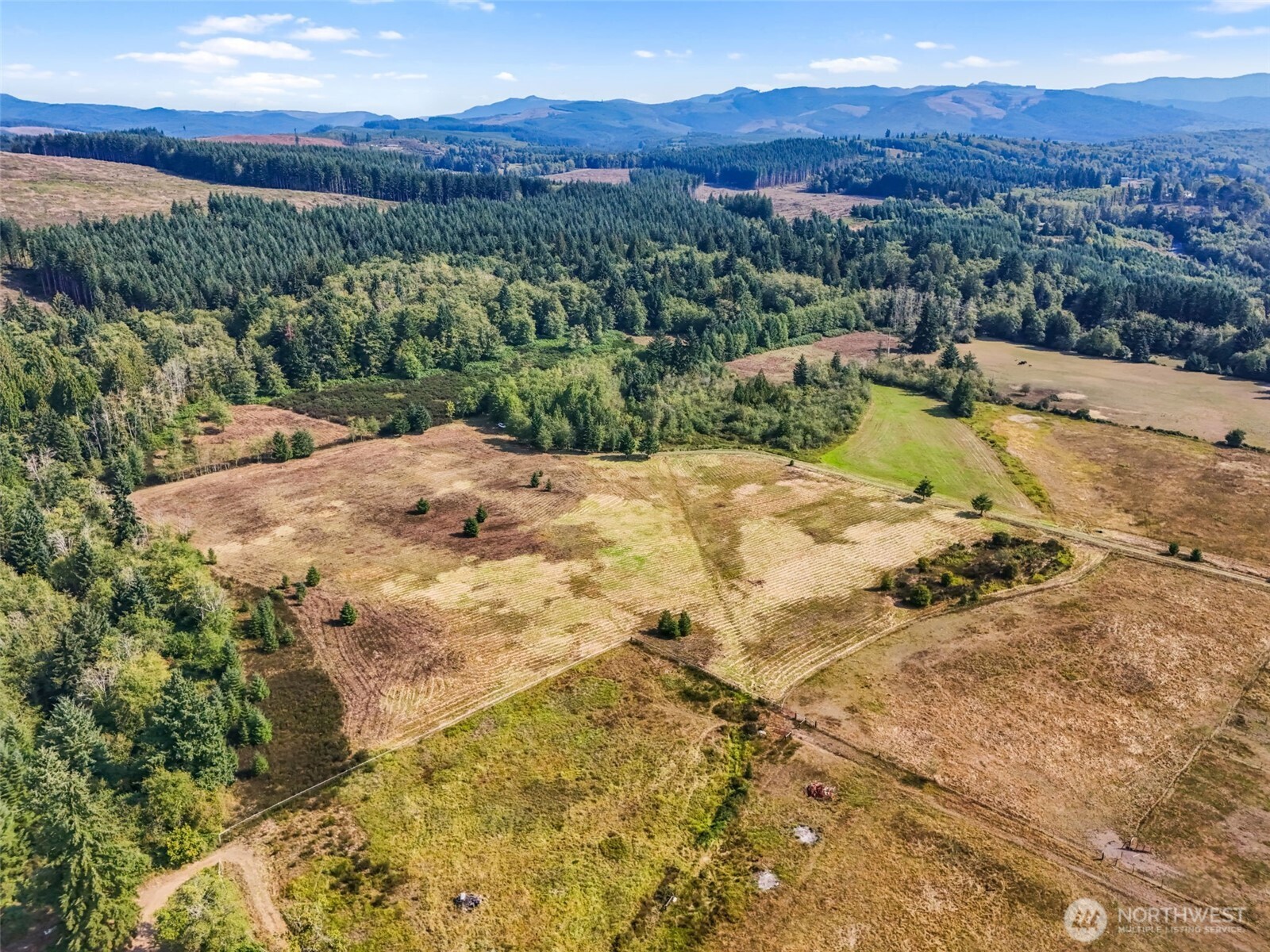 104 Bills Lane , Onalaska, WA 98570