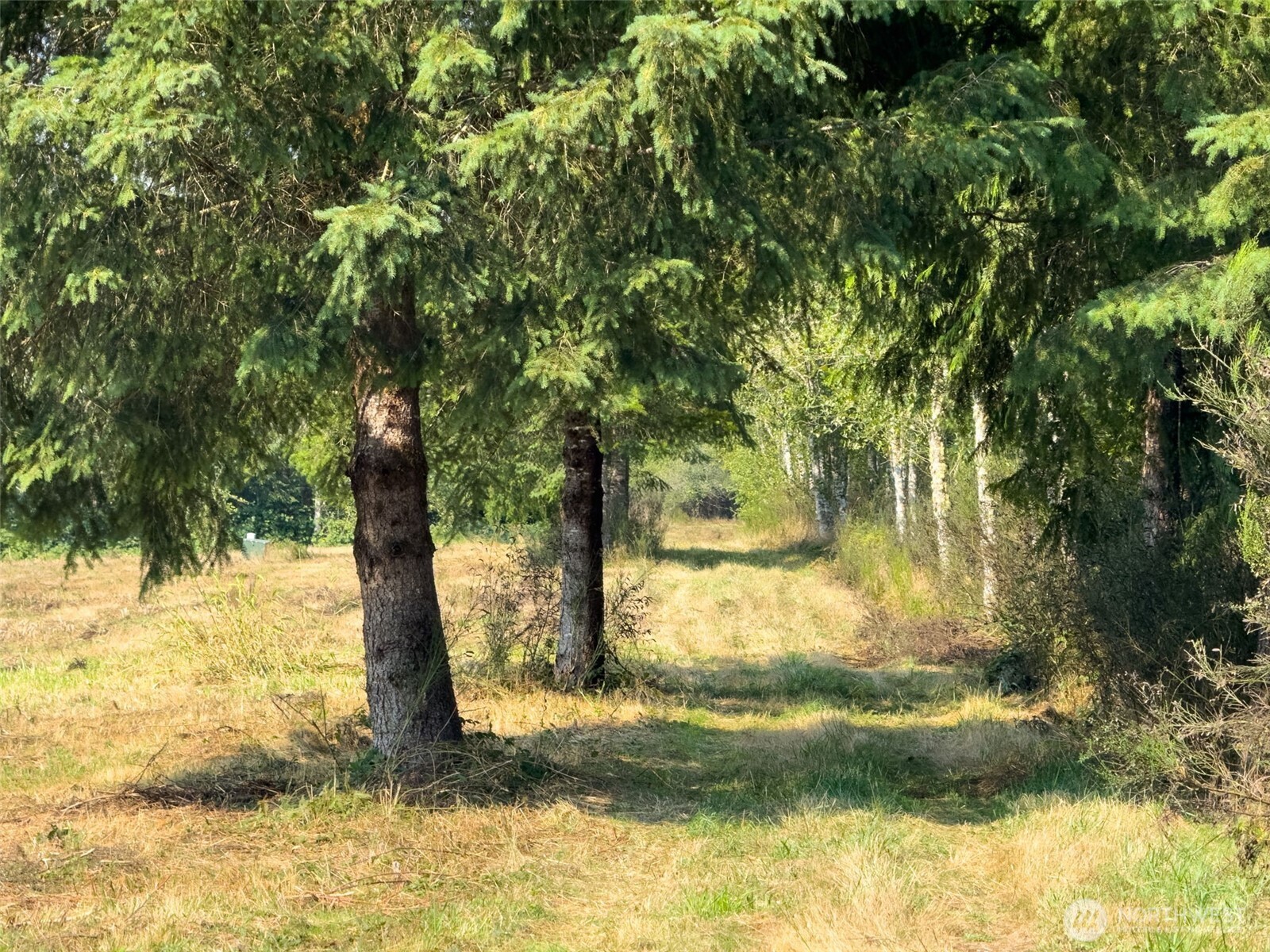 104 Bills Lane , Onalaska, WA 98570