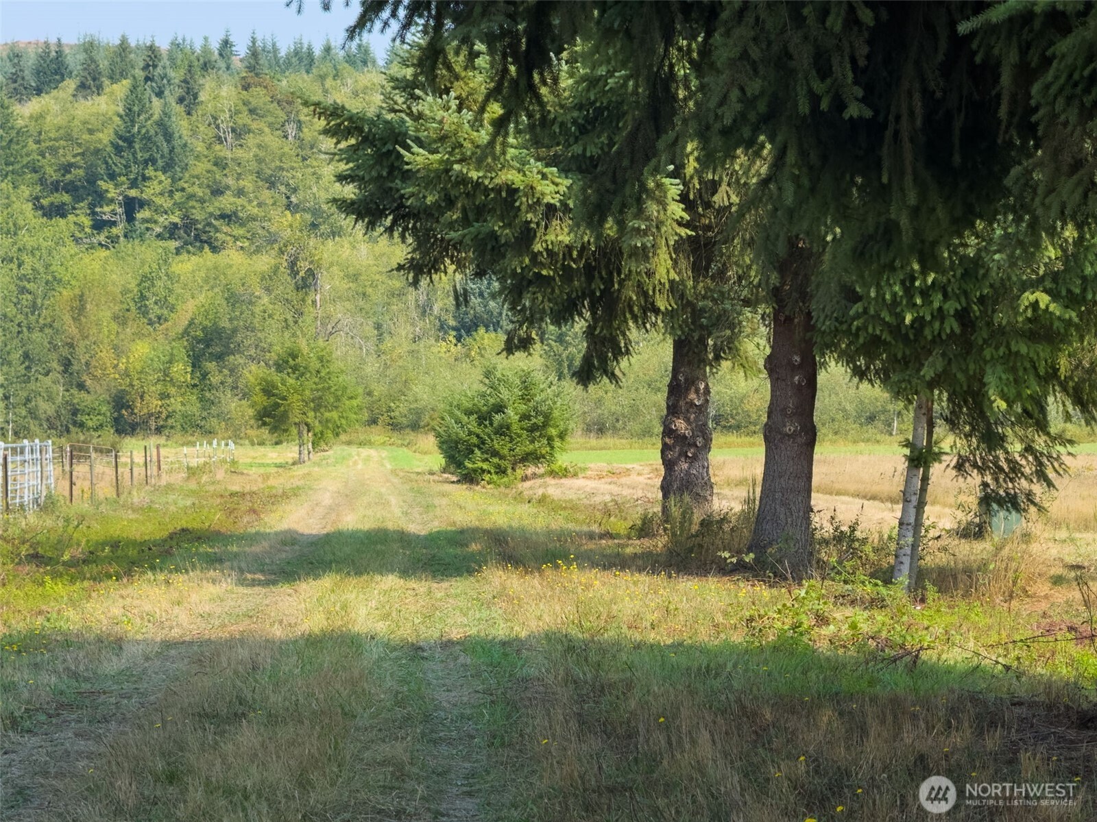 104 Bills Lane , Onalaska, WA 98570