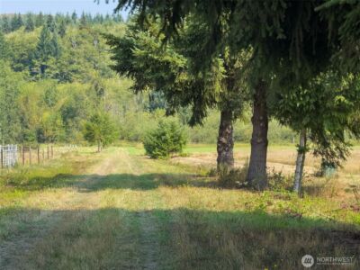 104 Bills Lane , Onalaska, WA 98570 - Photo 36