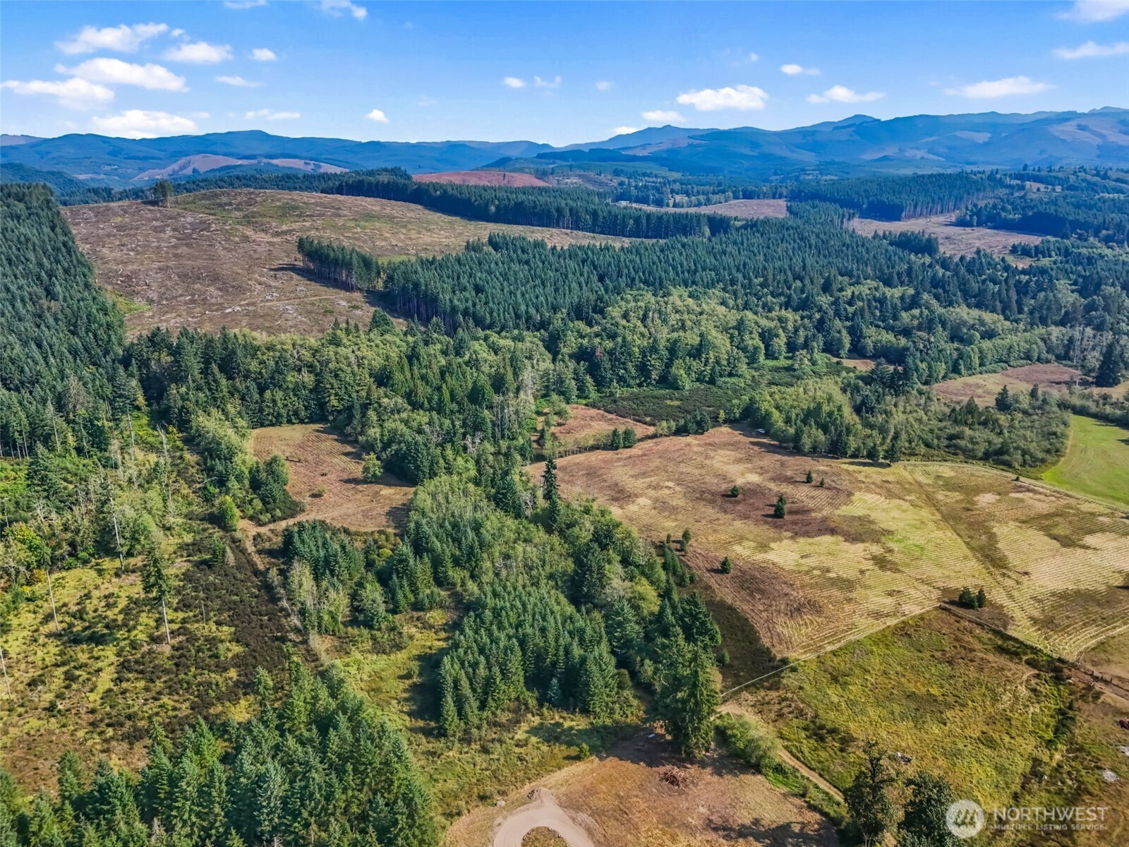 104 Bills Lane , Onalaska, WA 98570