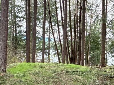 18243 SE Suncrest Court , Yelm, WA 98597 - Photo 2