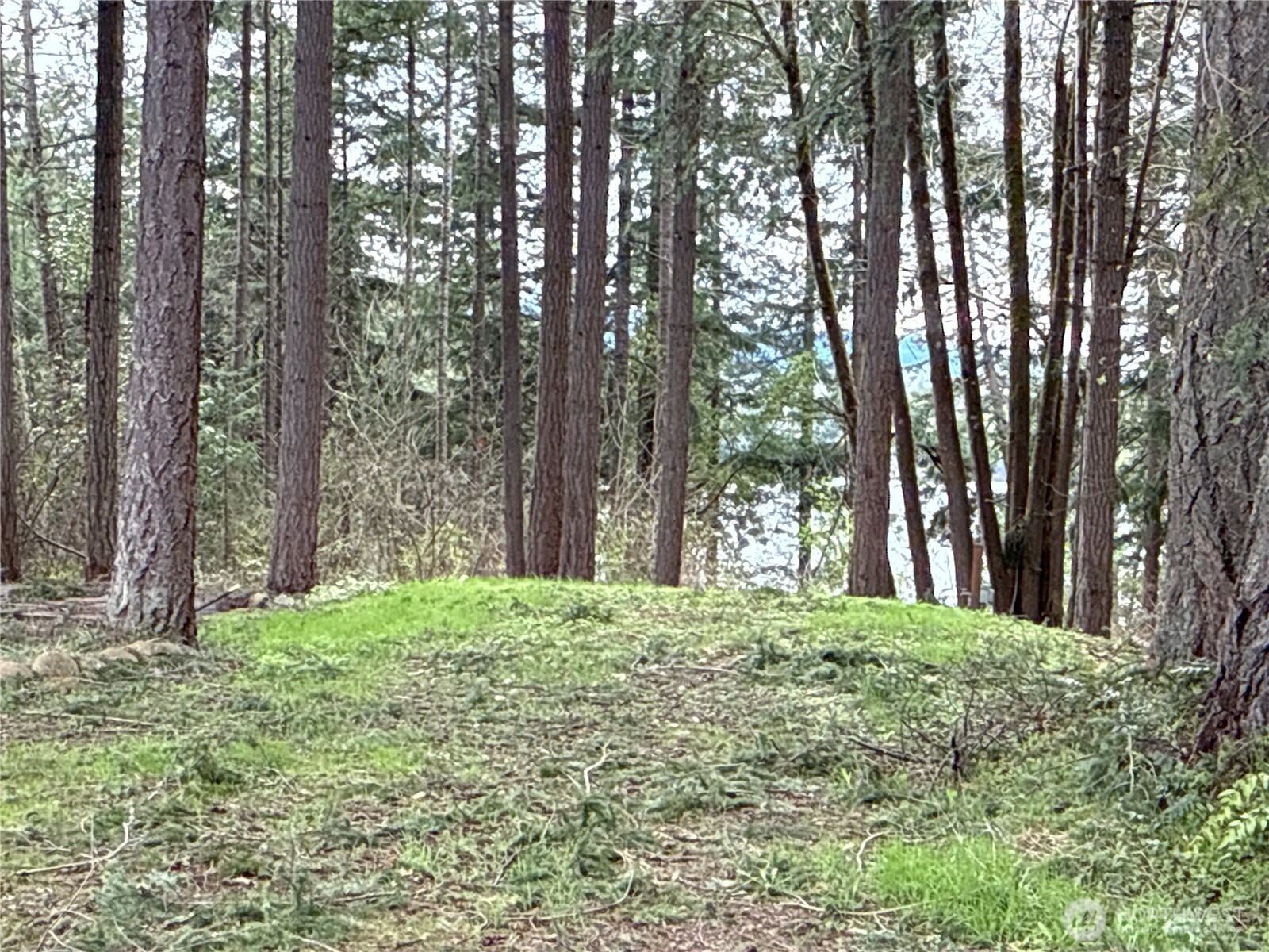 18243 SE Suncrest Court , Yelm, WA 98597