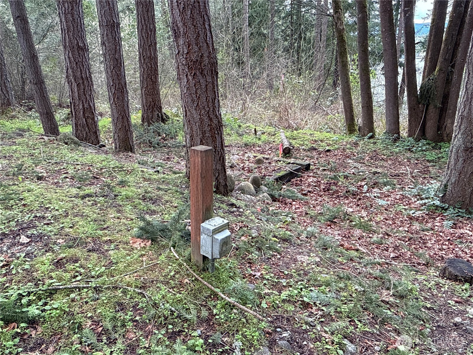 18243 SE Suncrest Court , Yelm, WA 98597