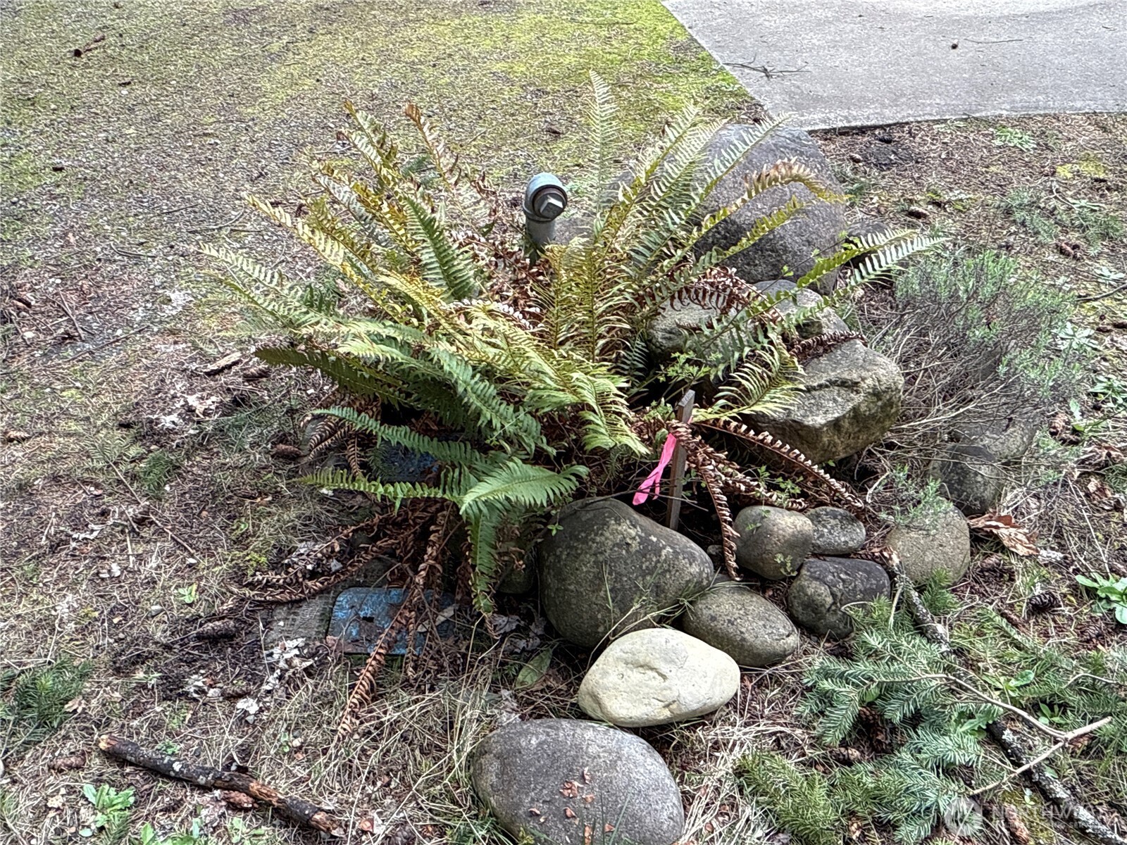 18243 SE Suncrest Court , Yelm, WA 98597