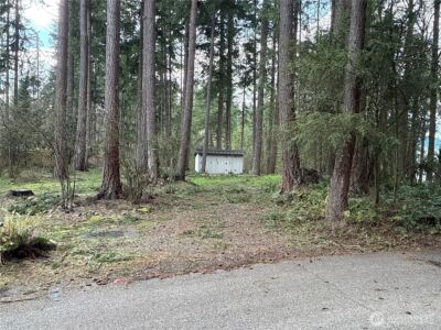 18243 SE Suncrest Court , Yelm, WA 98597 - Photo 19