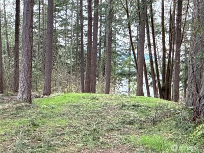 18243 SE Suncrest Court , Yelm, WA 98597