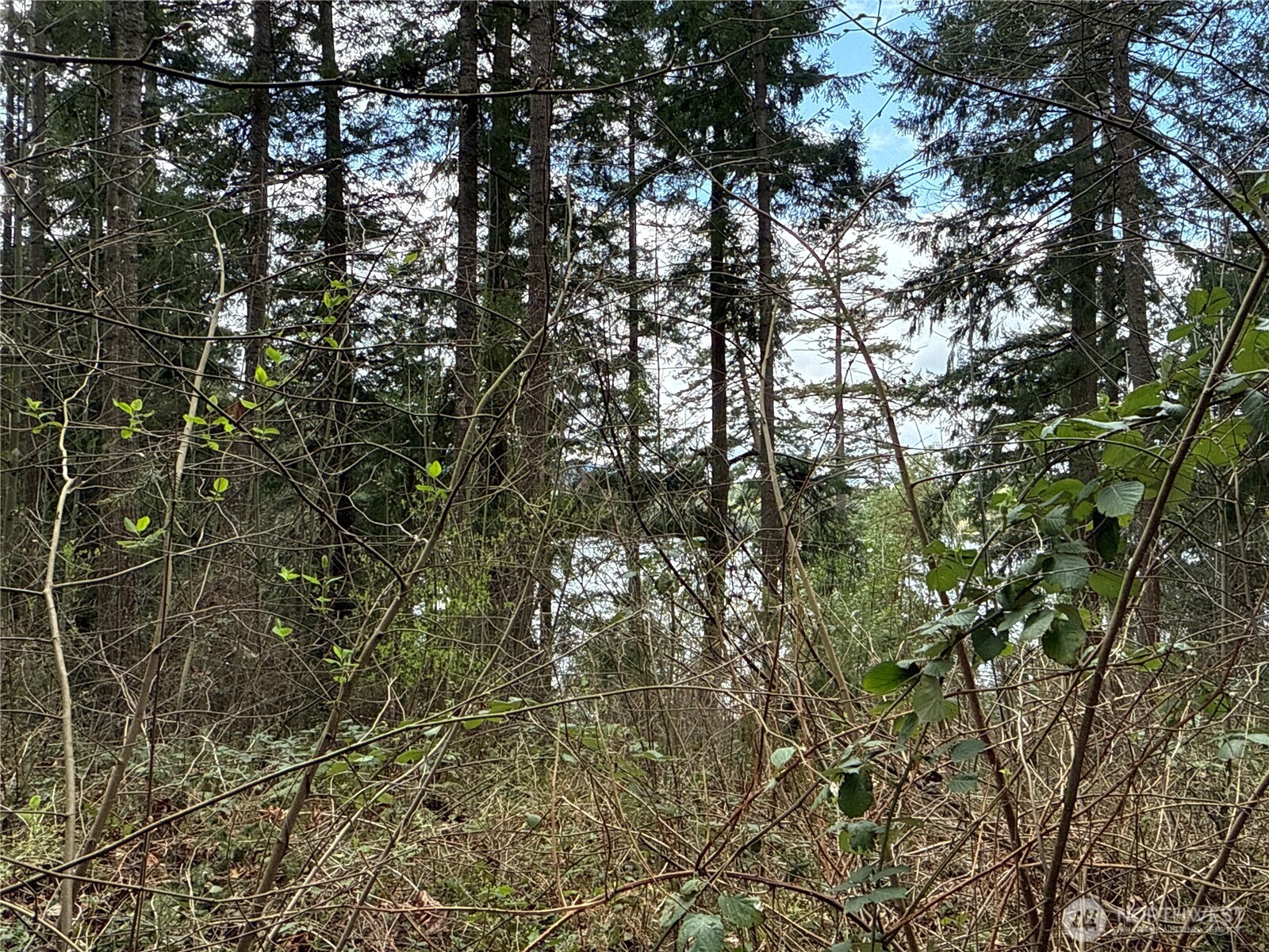 18243 SE Suncrest Court , Yelm, WA 98597