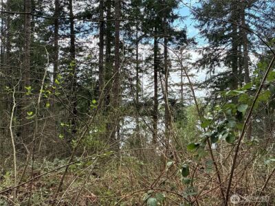 18243 SE Suncrest Court , Yelm, WA 98597 - Photo 3
