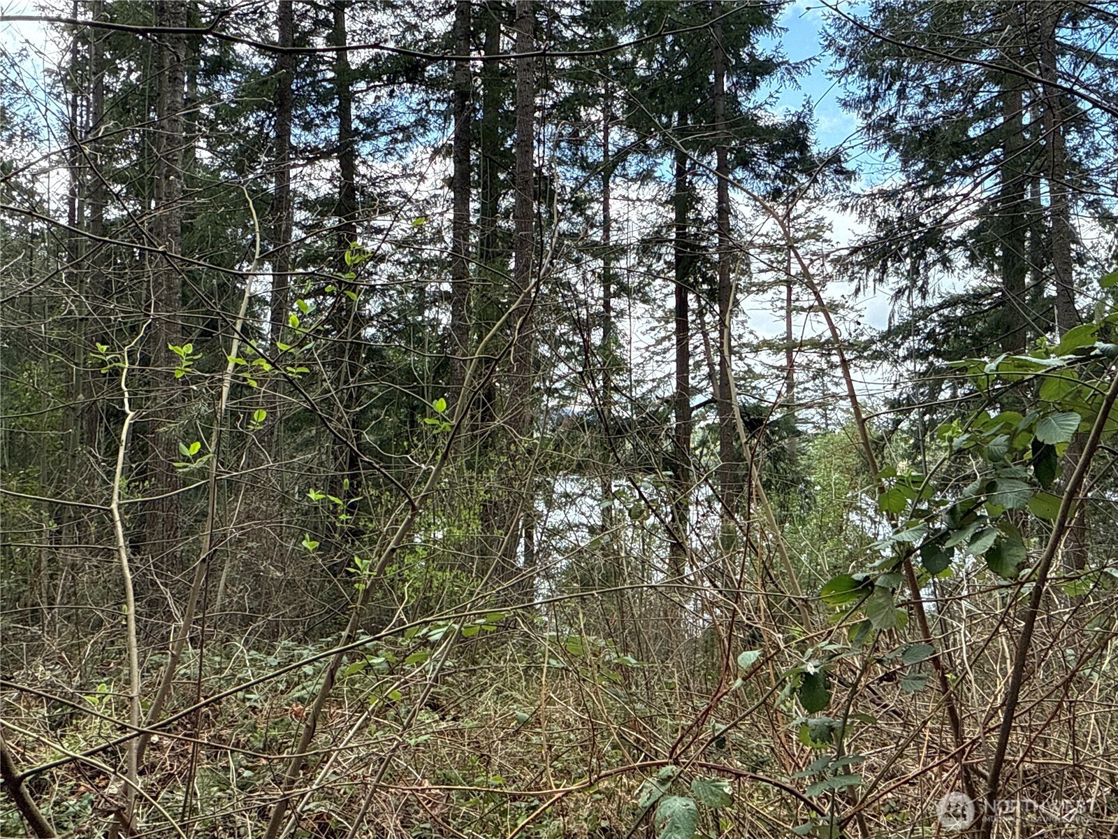 18243 SE Suncrest Court , Yelm, WA 98597