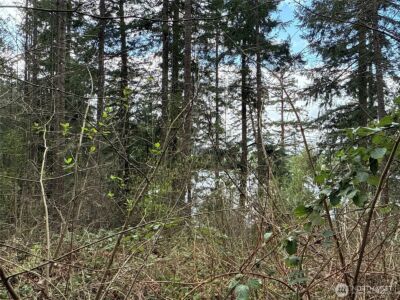 18243 SE Suncrest Court , Yelm, WA 98597 - Photo 5
