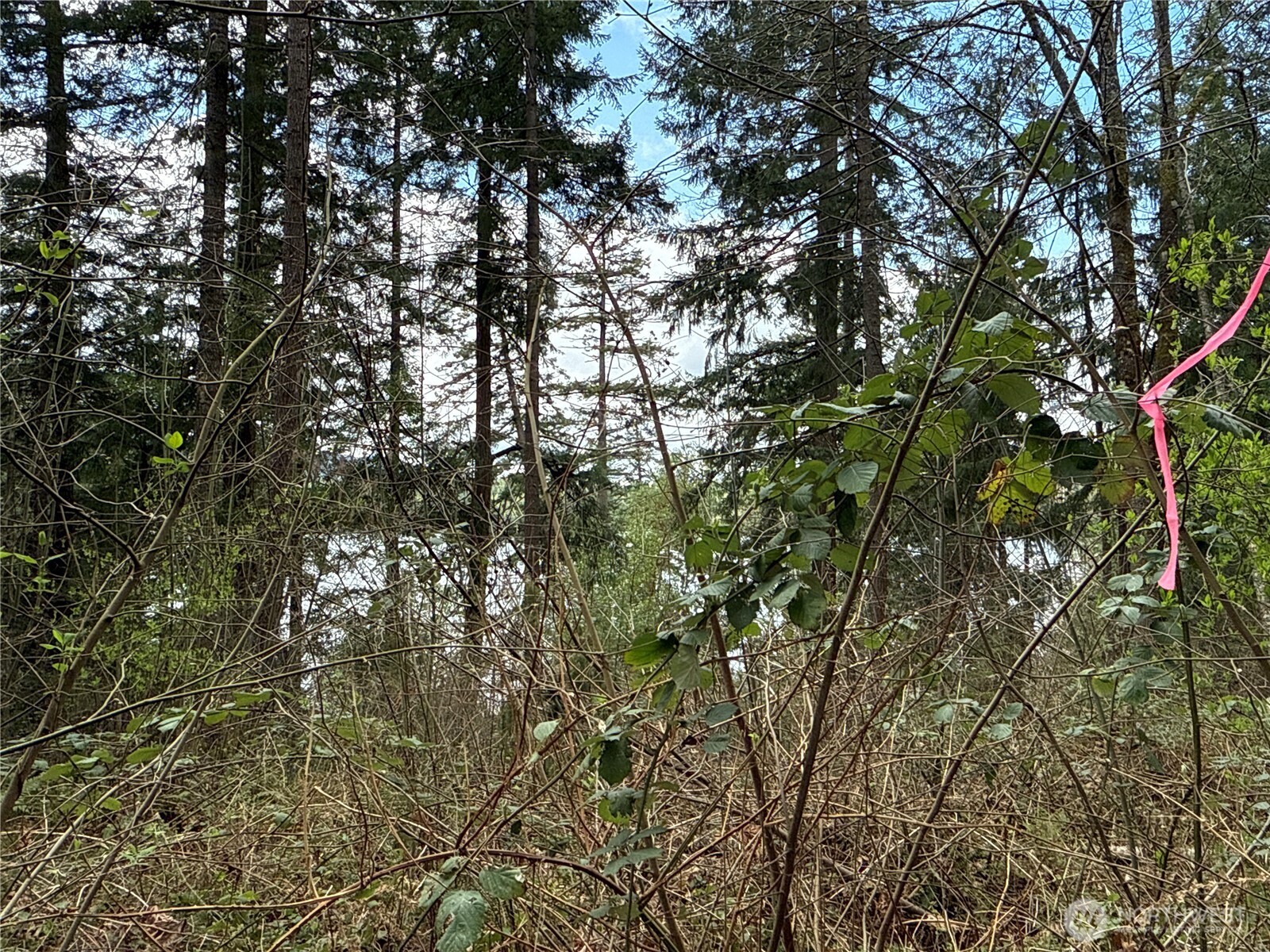 18243 SE Suncrest Court , Yelm, WA 98597