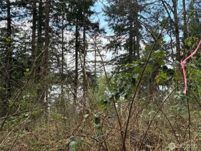 18243 SE Suncrest Court , Yelm, WA 98597 - Photo 4