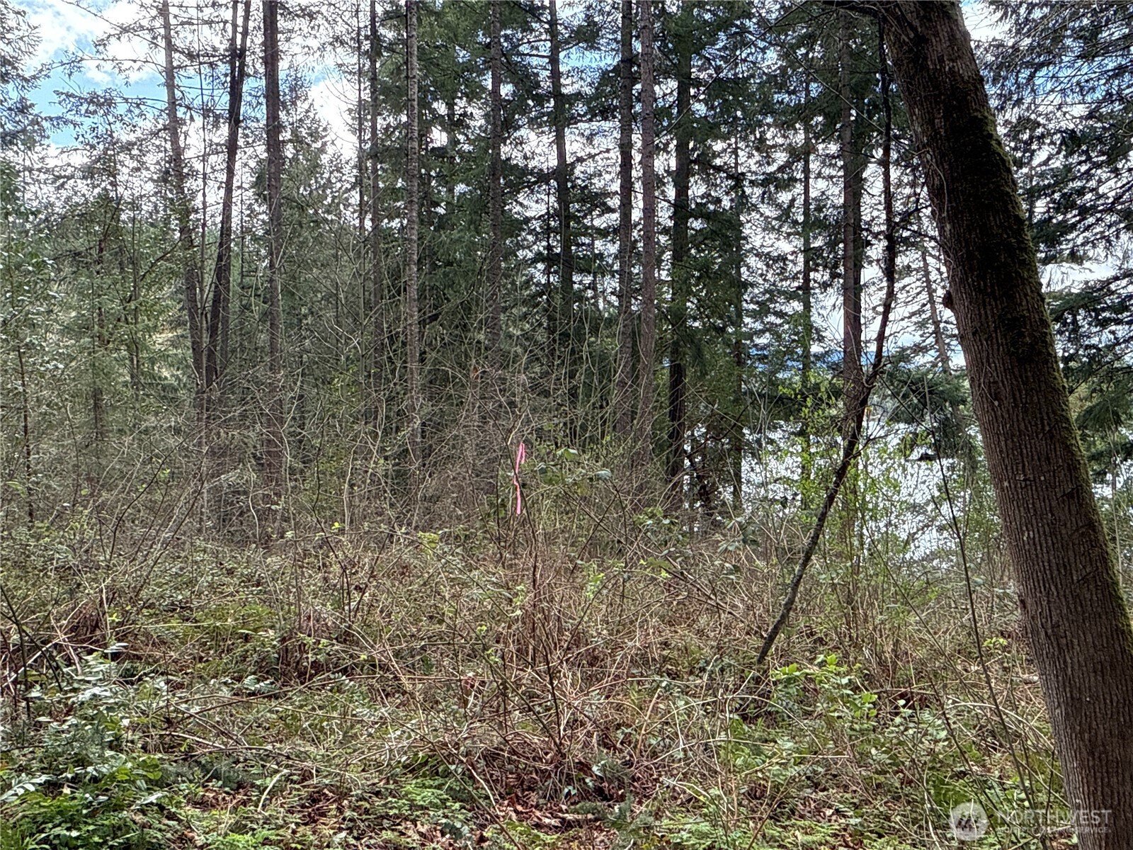 18243 SE Suncrest Court , Yelm, WA 98597