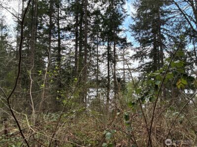 18243 SE Suncrest Court , Yelm, WA 98597 - Photo 6