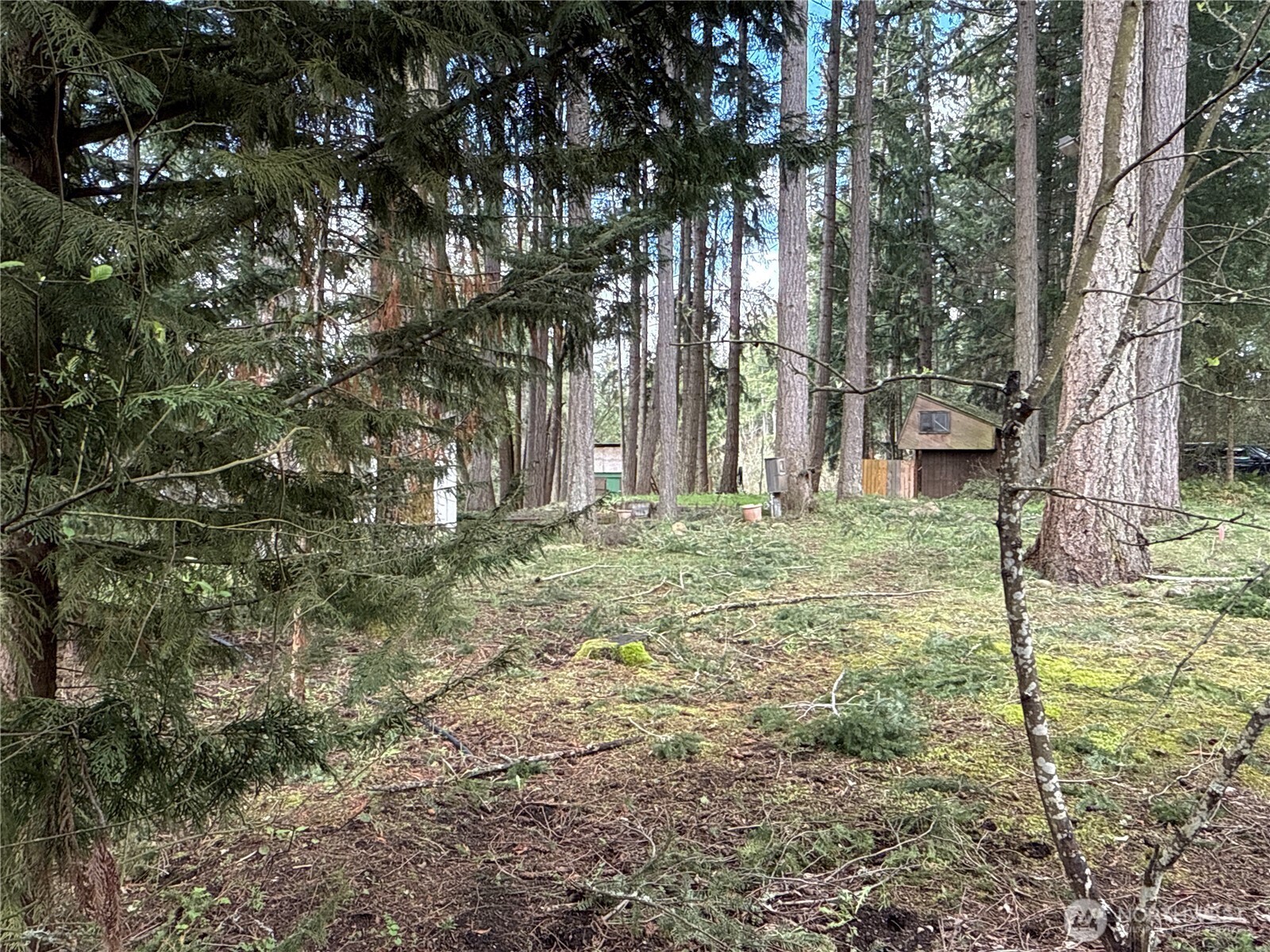 18243 SE Suncrest Court , Yelm, WA 98597