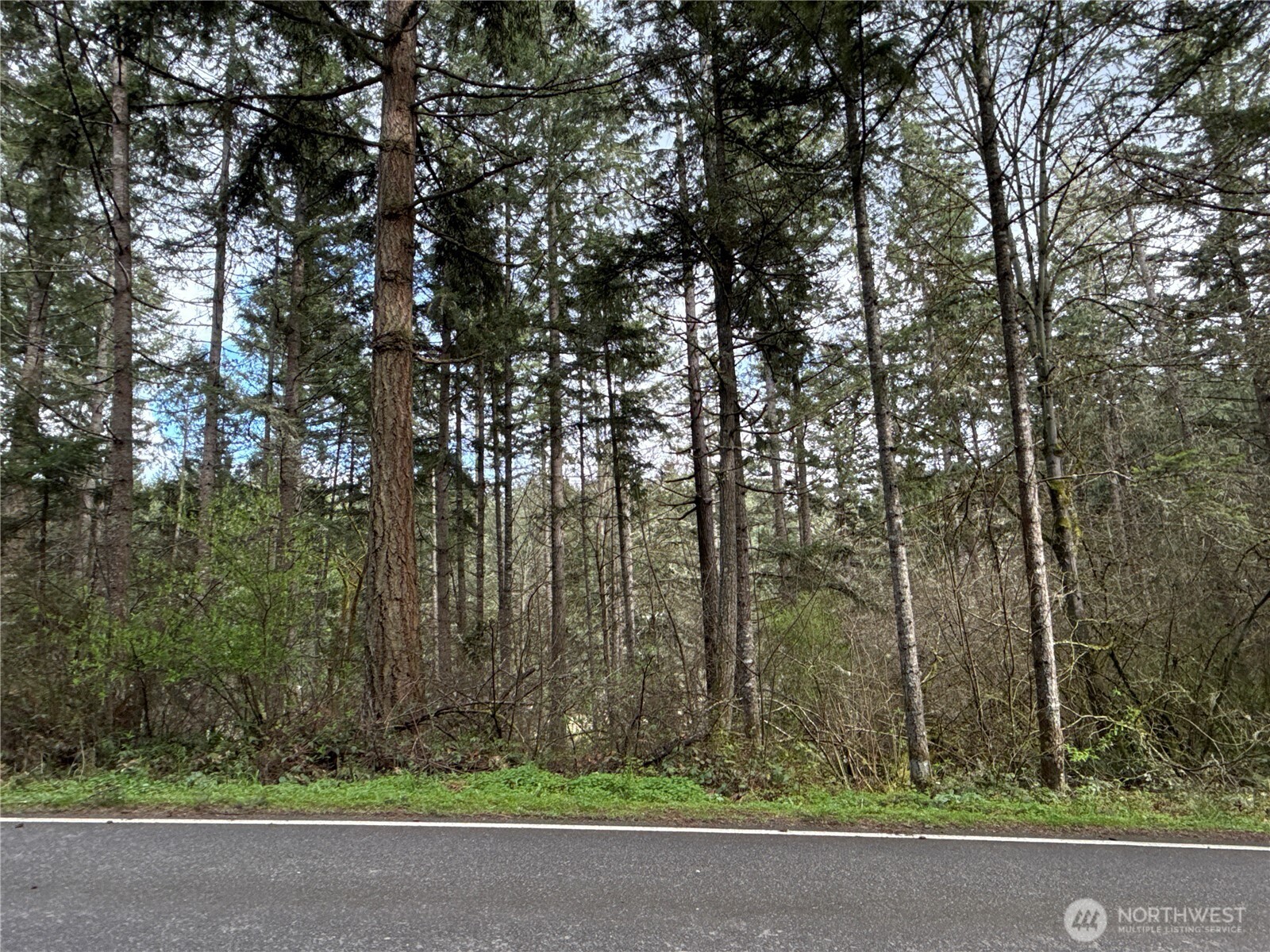 17636 E Clear Lake Boulevard SE, Yelm, WA 98597