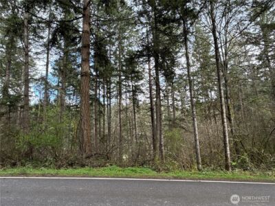17636 E Clear Lake Boulevard SE, Yelm, WA 98597
