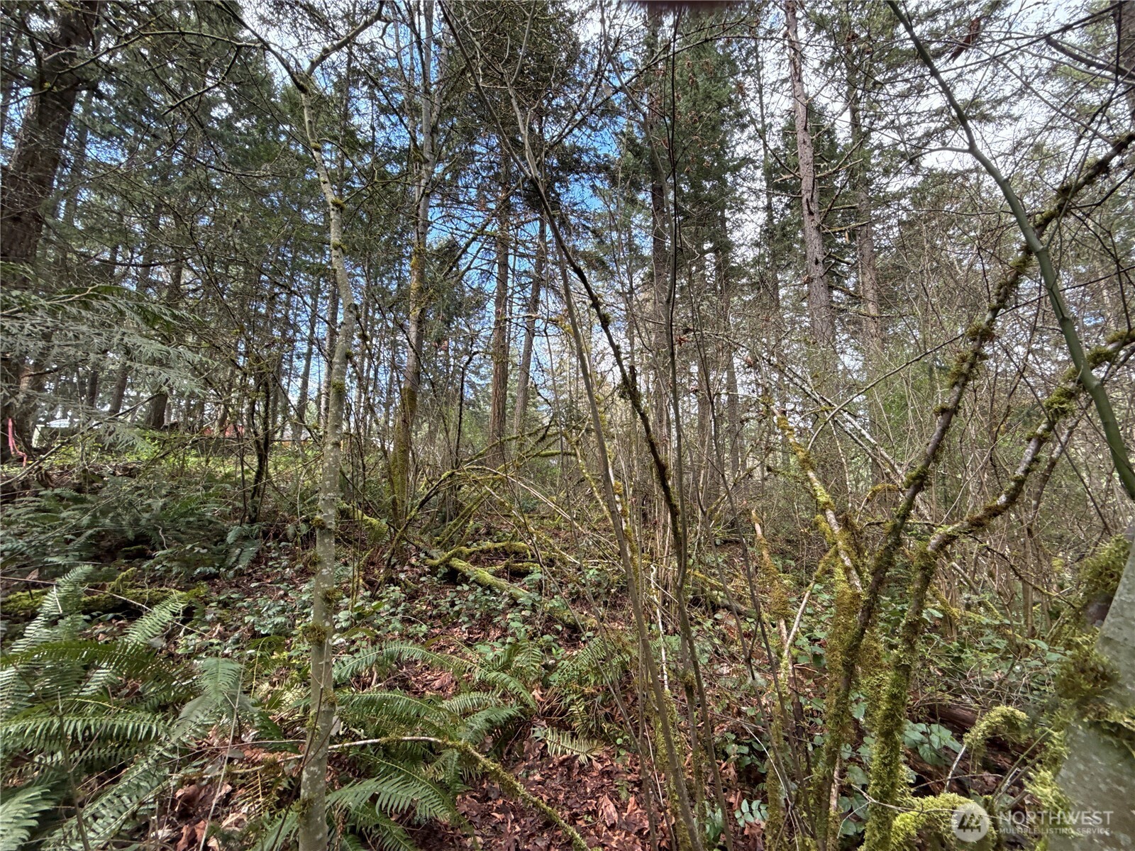17636 E Clear Lake Boulevard SE, Yelm, WA 98597