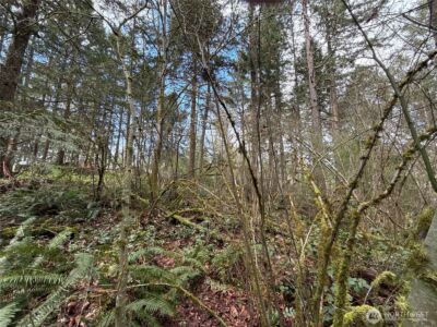 17636 E Clear Lake Boulevard SE, Yelm, WA 98597 - Photo 13