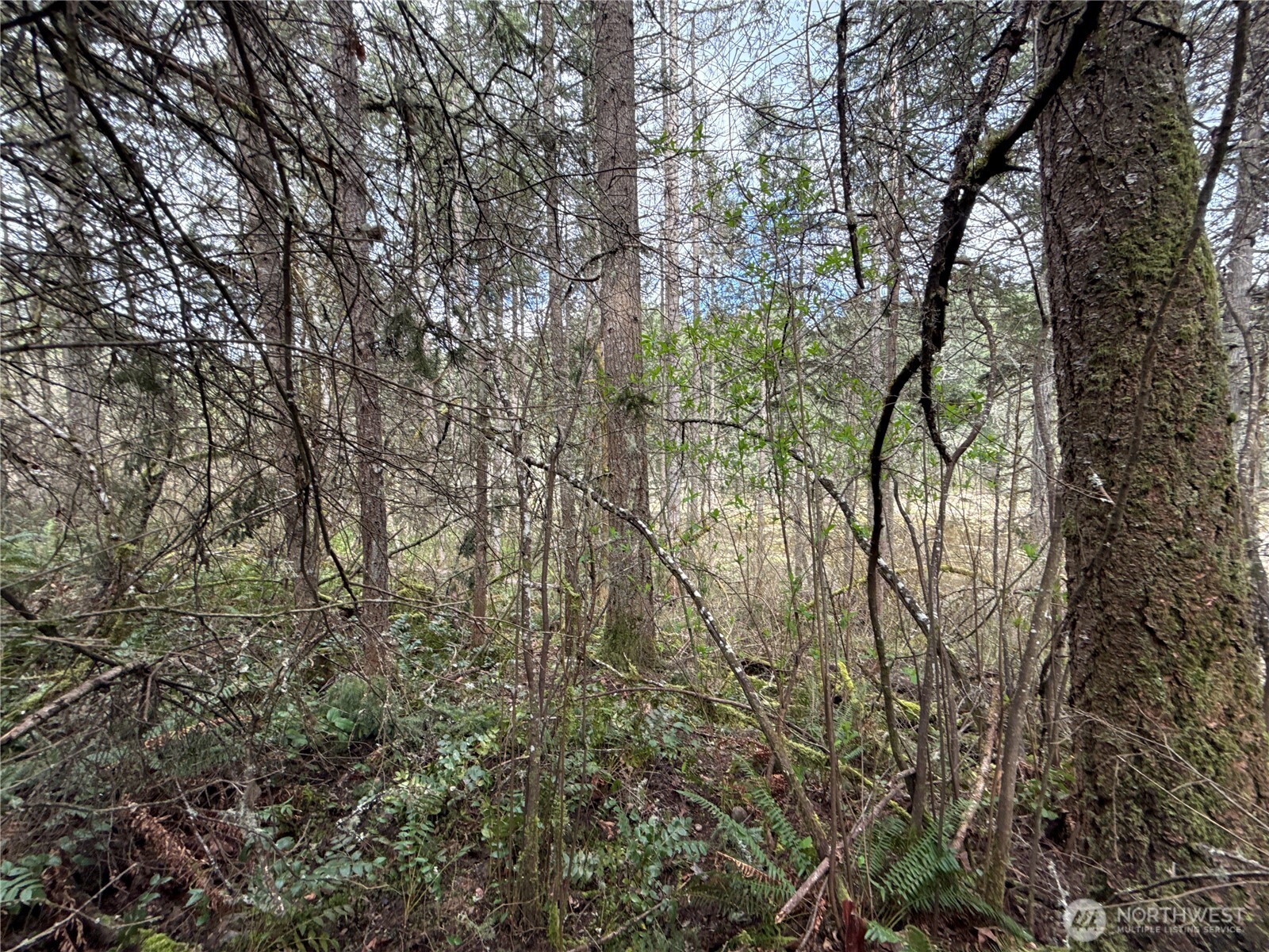 17636 E Clear Lake Boulevard SE, Yelm, WA 98597