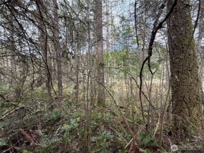 17636 E Clear Lake Boulevard SE, Yelm, WA 98597 - Photo 7
