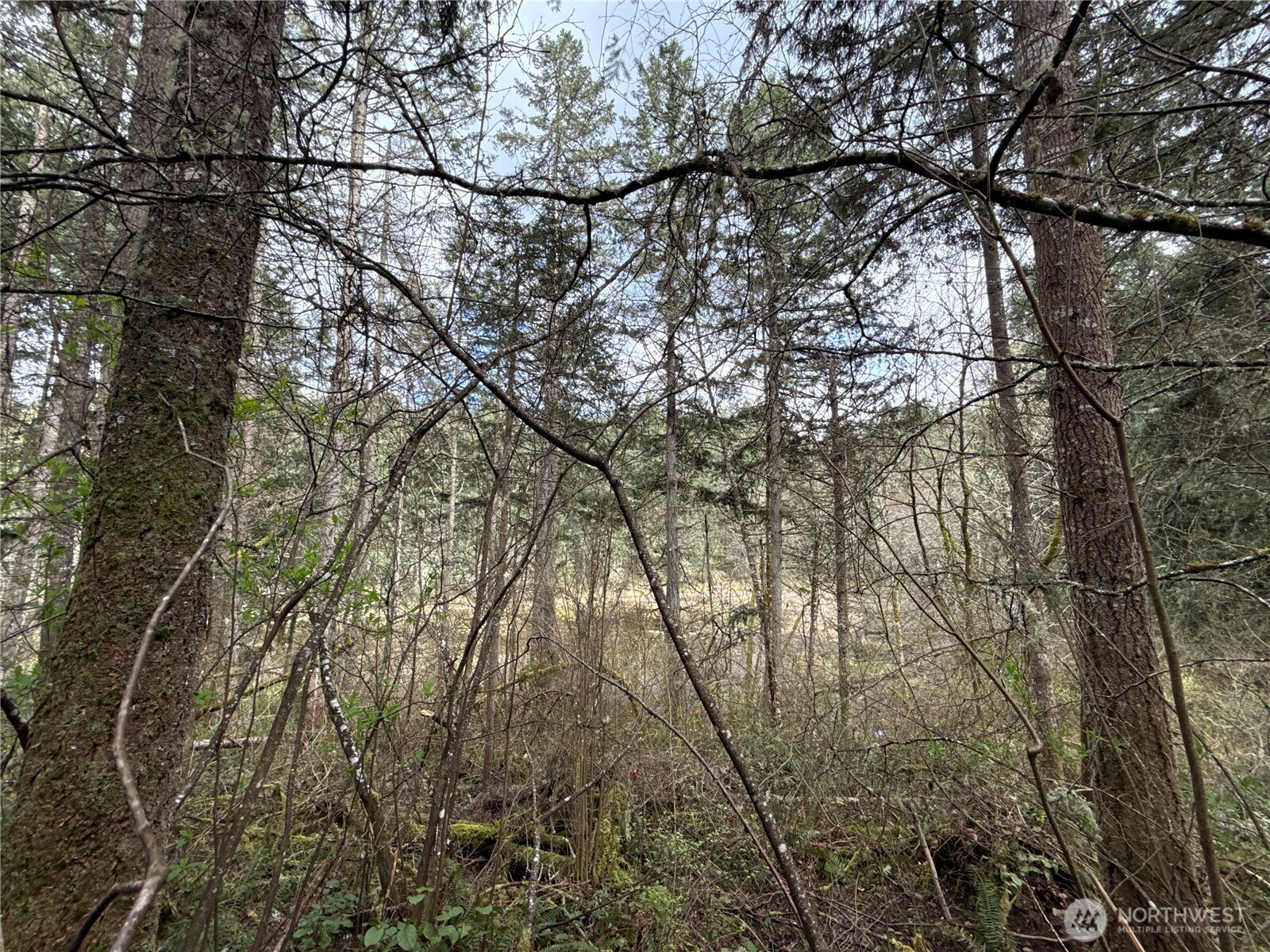 17636 E Clear Lake Boulevard SE, Yelm, WA 98597