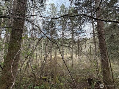 17636 E Clear Lake Boulevard SE, Yelm, WA 98597 - Photo 5