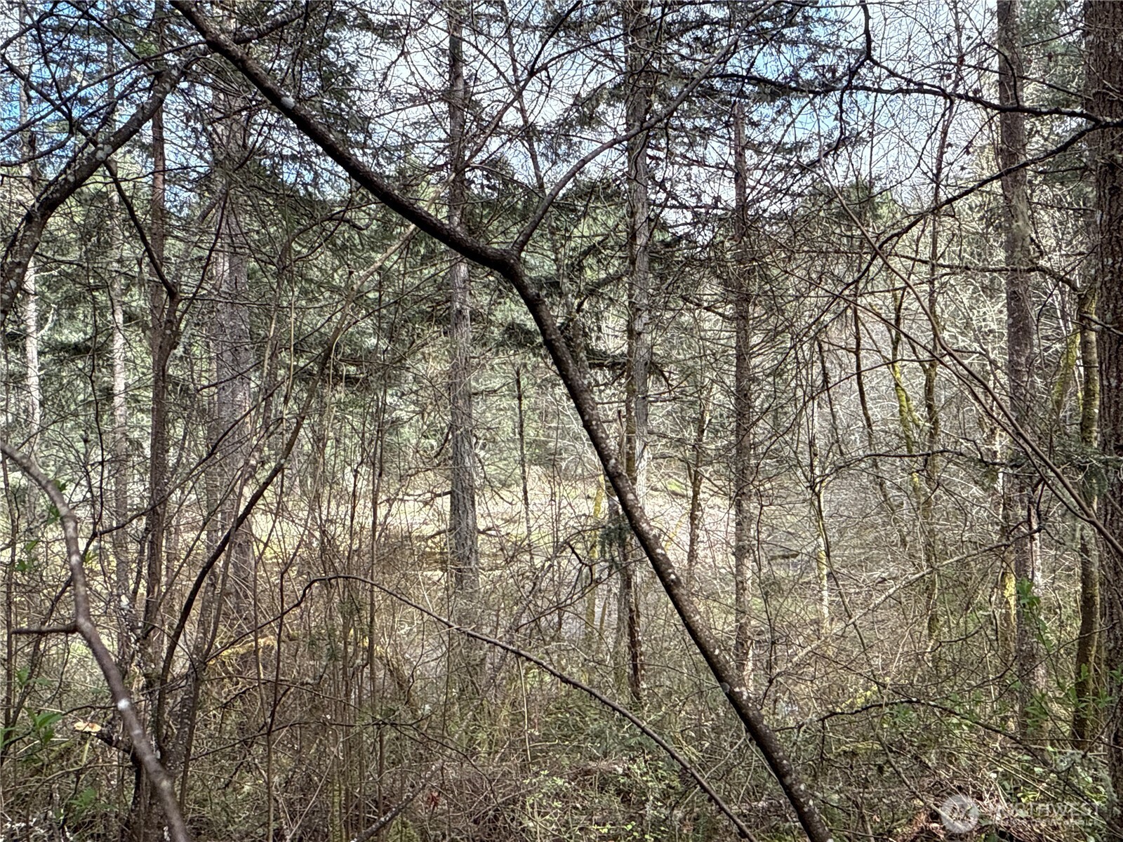 17636 E Clear Lake Boulevard SE, Yelm, WA 98597