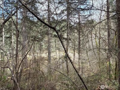 17636 E Clear Lake Boulevard SE, Yelm, WA 98597 - Photo 16